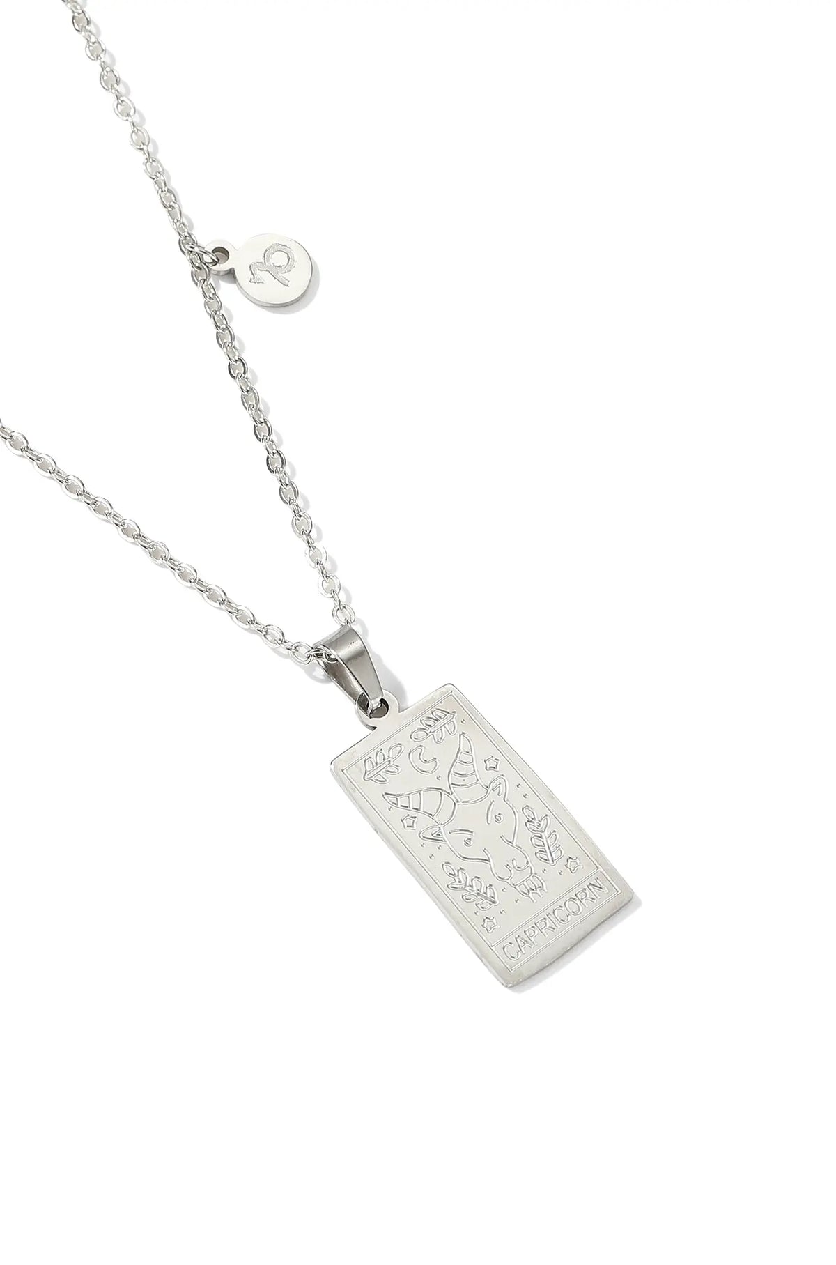 Capricorn Necklace